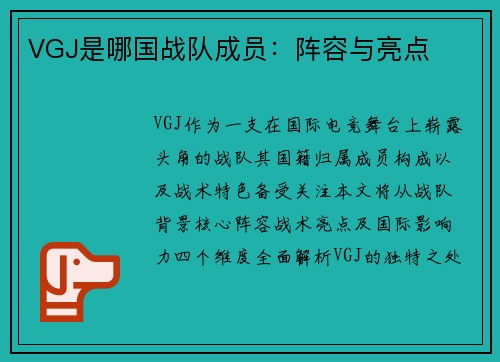 VGJ是哪国战队成员:阵容与亮点