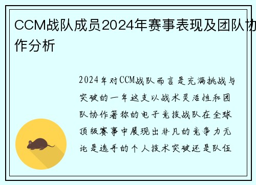 CCM战队成员2024年赛事表现及团队协作分析